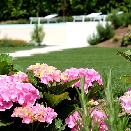 Ca Muretta Relais Farm stay *