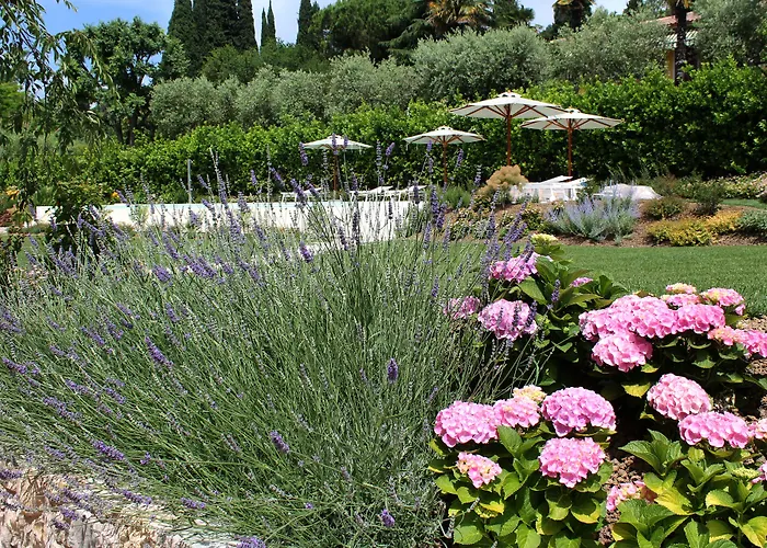 Ca Muretta Relais Lantgård