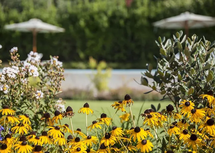 Ca Muretta Relais Lantgård